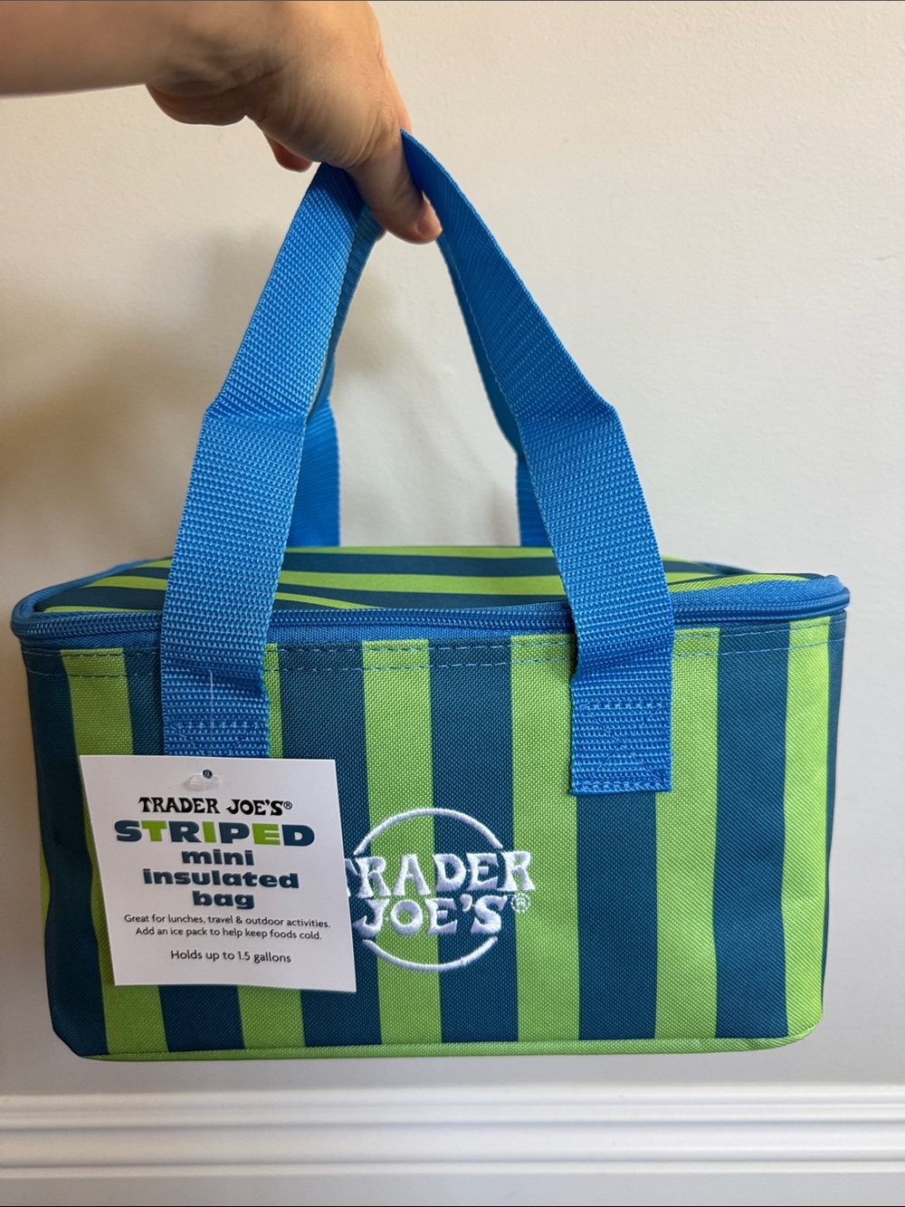 Trader Joe's Striped Mini Insulated Bag - Blue & Green
